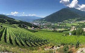 Buehlerhof Urlaub Mit Kind & Hund, Obst-& Weingut, Brixen